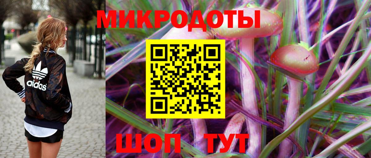 Будённовск  наркота  Вход с VPN  Псилоцибиновые грибы Psilocybine cubensis  Галлюциногенные грибы мухоморы 