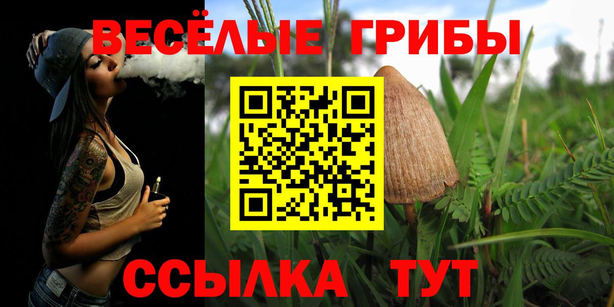 Галлюциногенные грибы мухоморы Будённовск